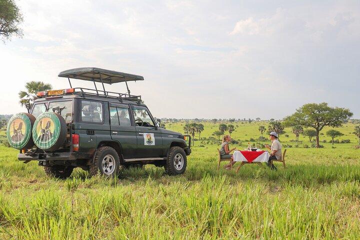 8-tägige private Uganda Big 5 Luxus-Safari mit Gorillas und Schimpansen