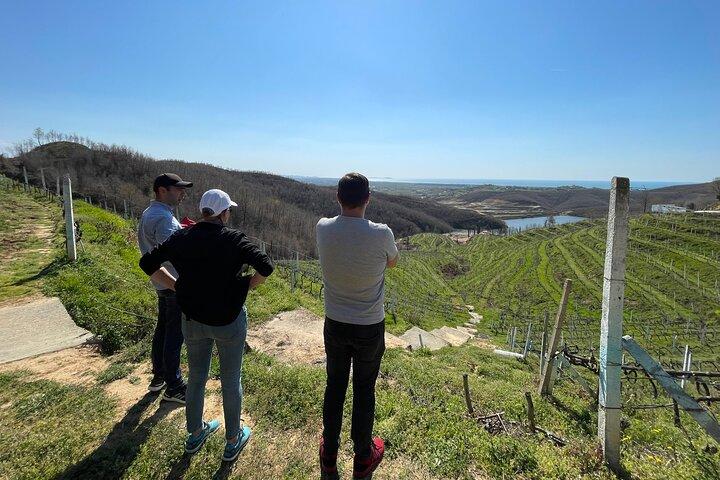Durres & Wine Tasting Tour