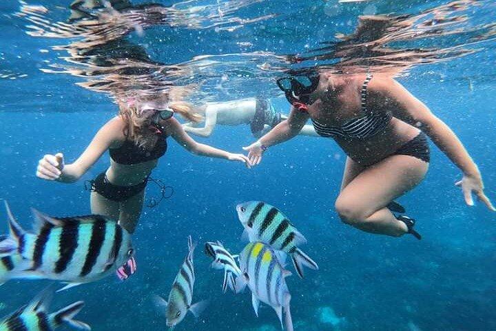 Nusa Penida Full Trip - Schnorcheln & Landtour