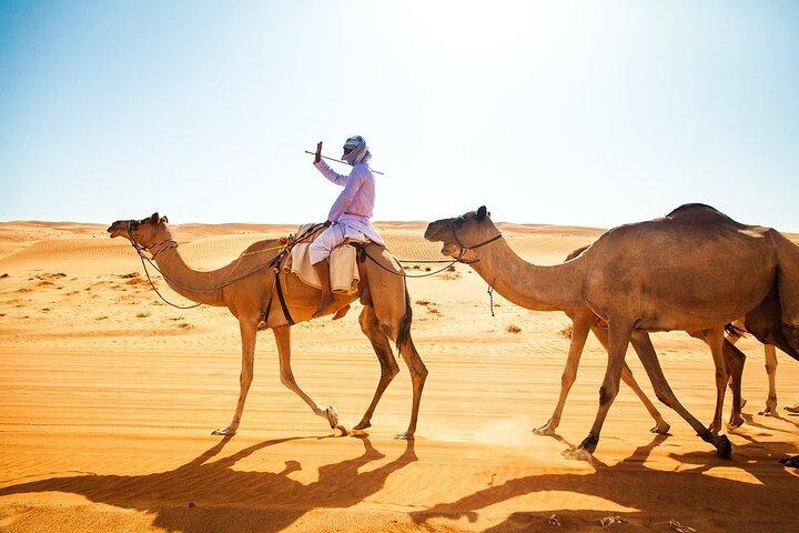 Giornata intera privata Wadi Bani Khalid e Wahiba Sanda Deserto / Tramonto