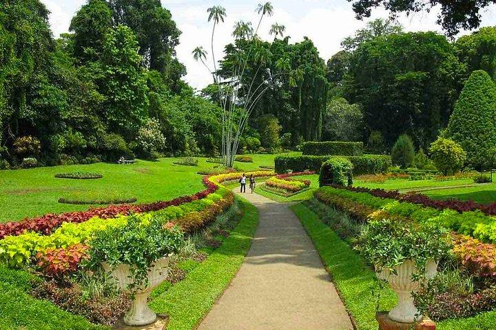 Kandy-stadstour met drie tempels - dagtour door Kandy