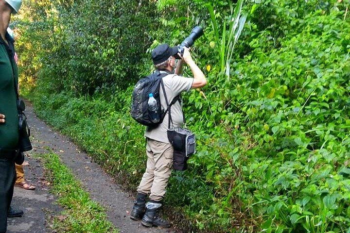 Sinharaja Rain Forest Bird Watching Guidet privat tur