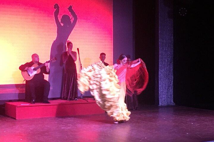 Flamencoshow på Coliseo-teatret i San Miguel