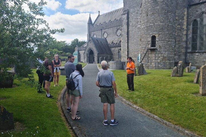 Private Kilkenny Tour: Medieval History & Local Insights
