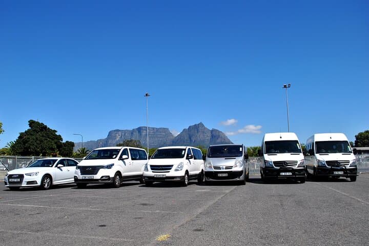 Hermanus Whales and Wine Full Day Private Tour
