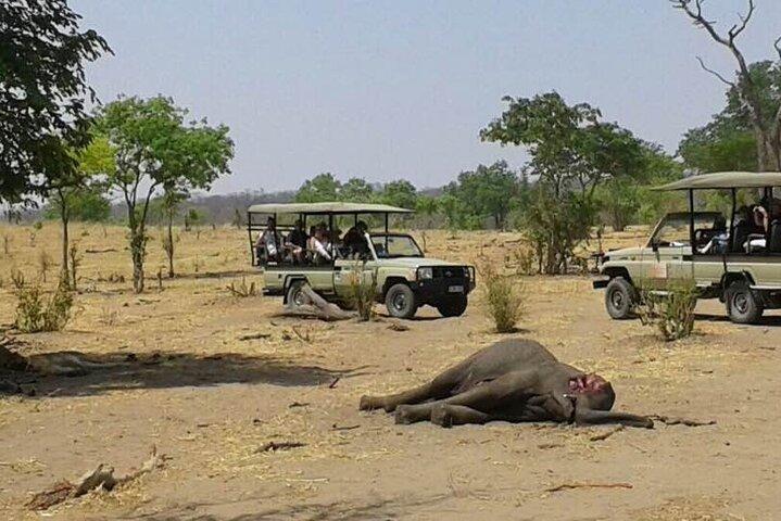 3 timers Chobe Game Drive Safari, Botswana