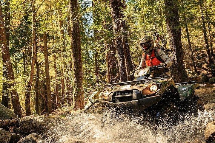 ロヴァニエミ発北極圏BBQ付きクワッドバイクライド