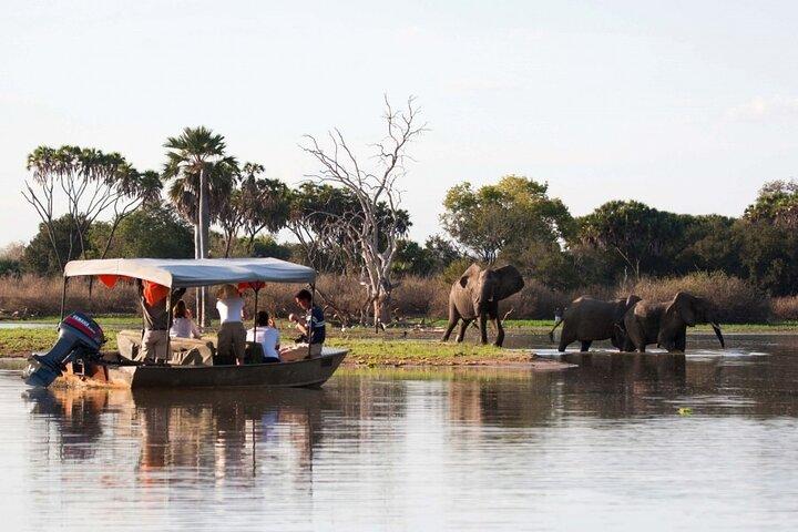 Game drive privato di 3 giorni a Nyerere NP e tour safari in barca