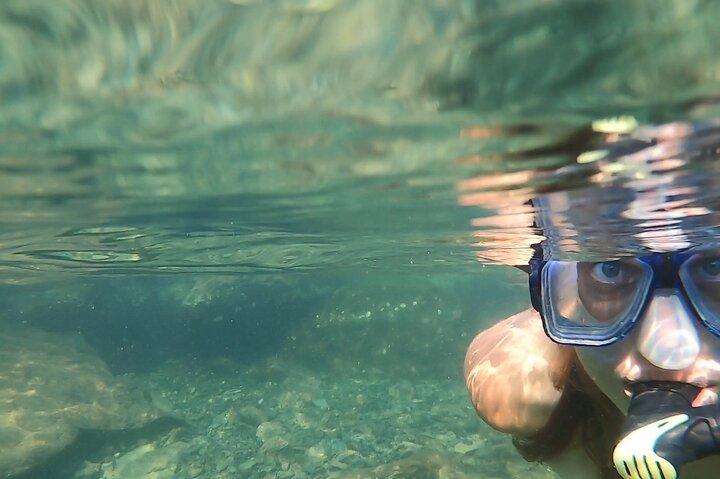 Catamarán Privado: Snorkel, Nado y Avistamiento de Delfines