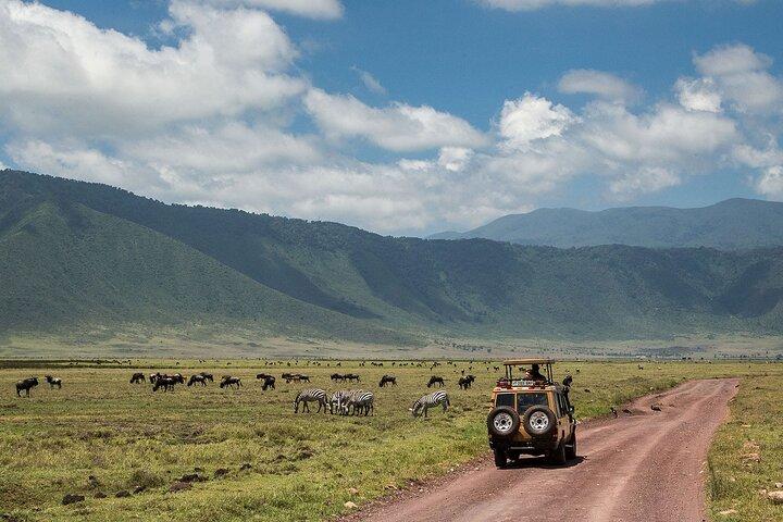 Tour económico de 6 días en Tarangire, Serengeti, Ngorongoro y Manyara