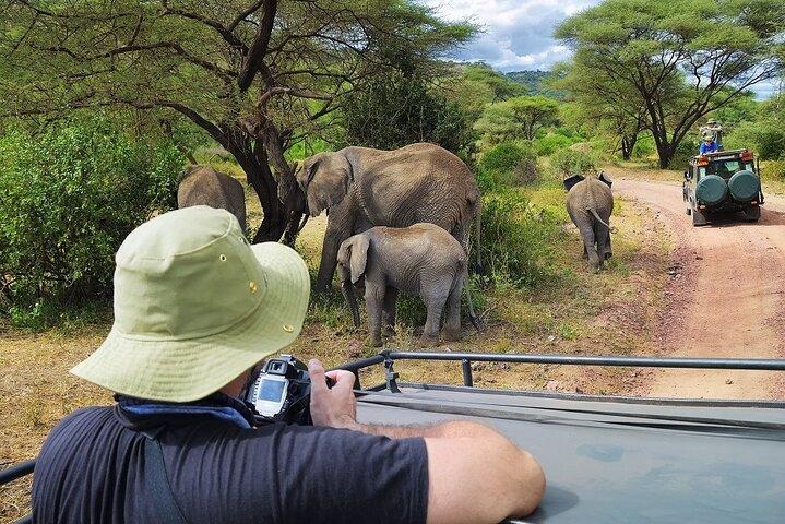 Dagstur till Tarangire nationalpark