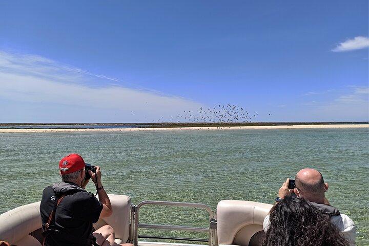 ファロからのリアフォルモサ自然公園と島々のボートクルーズ