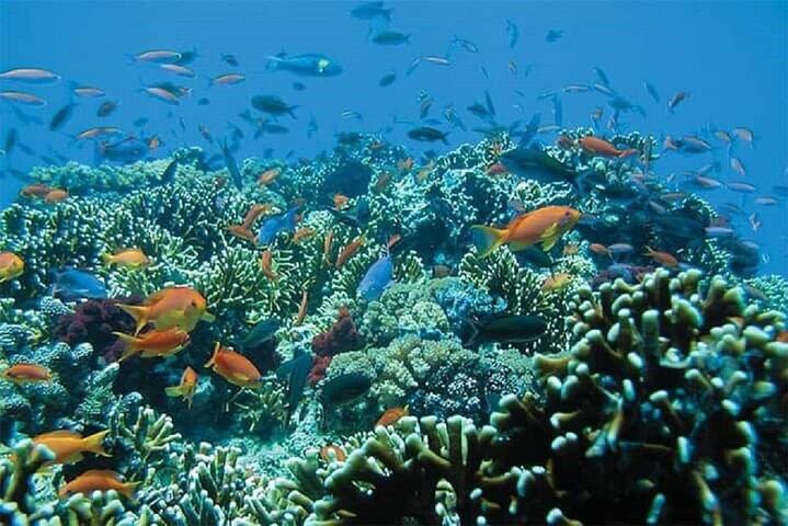 Tour de snorkel en Bali en Blue Lagoon, incluida la cascada de Kanto Lampo