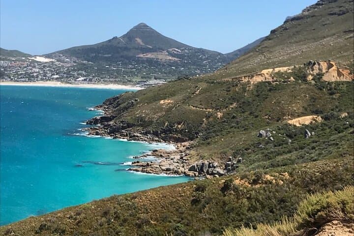 Magnificent Cape Peninsula Private Tour