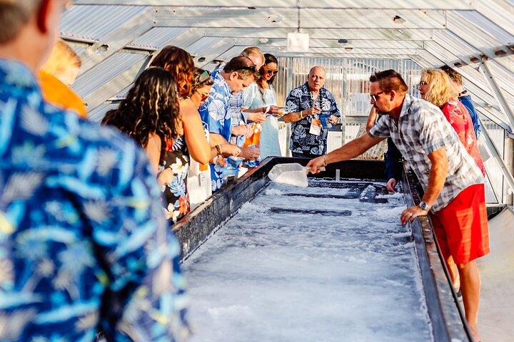 Hawaiian Salt Farm Tour in Kona