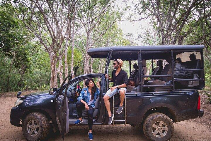 Jeep Safari no Parque Nacional de Yala de Tissamaharama / Kataragama / Yala