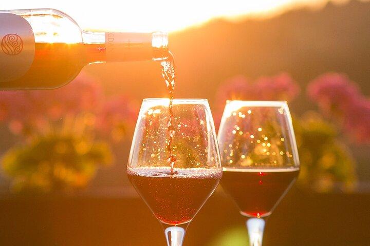 Tour enogastronomico al tramonto di 4 ore nella città: 3 aziende vinicole sulla penisola di Old Mission