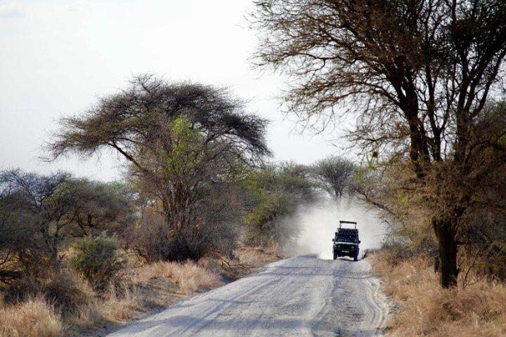 Fremragende dagstur til Tarangire National Park