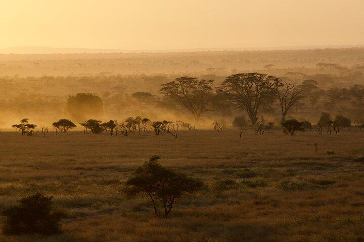 Fremragende dagstur til Tarangire National Park