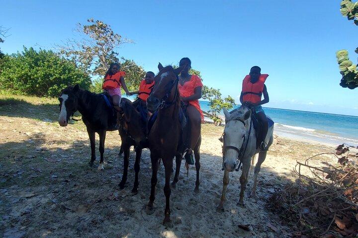 Dunn's River Falls-bestigning, zipline og privat ridetur