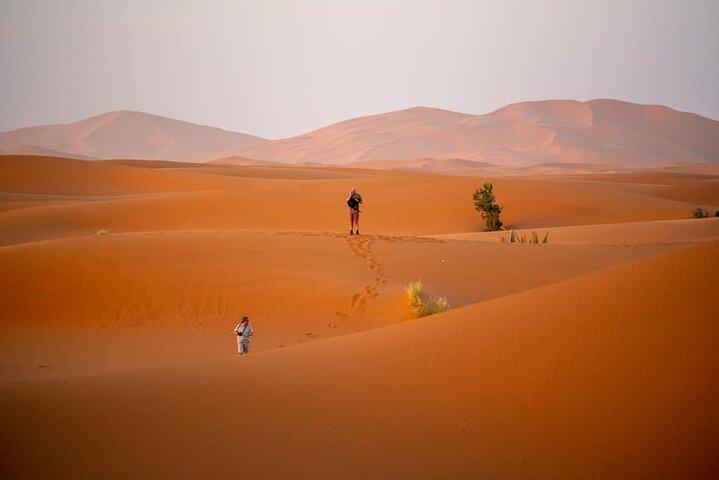 Merzouga Sahara-ørkenen 2 dages tur fra Ouarzazate.