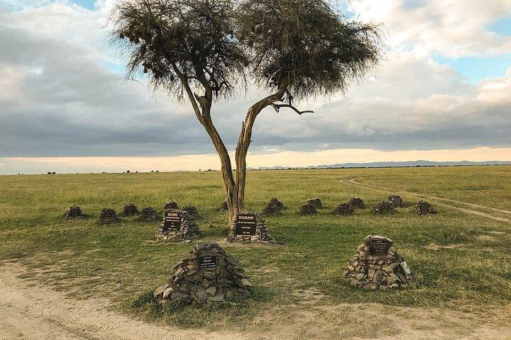Big Five Safari Adventure - Ol Pejeta Conservancy (1 Day).