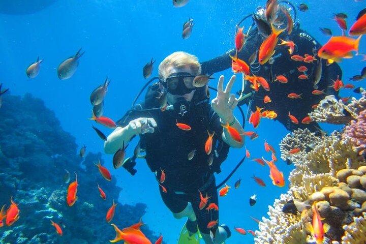 Snorkling på Ras Mohamed i Sharm El Sheikh
