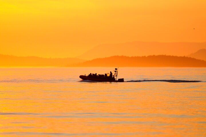 Sunset Whale and Wildlife Adventure i Cowichan Bay