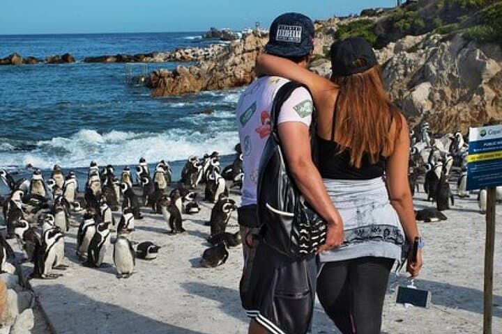 Cape of Good Hope Cape Point and Penguins Private Tour Cape Town
