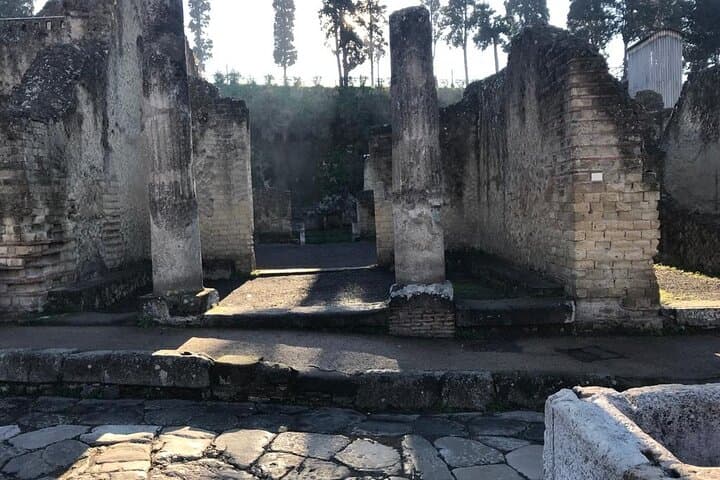 Herculaneum - Private Tour (skip-the-line admission included)