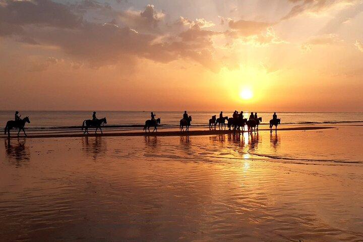 Maravilhoso Sundown Beach Ride a cavalo! MÍNIMO DE 2 PARTICIPANTES