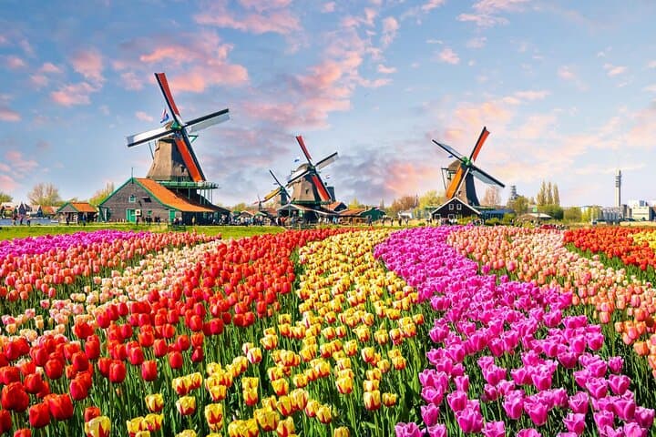 Private Skip-The-Line Keukenhof & Tulip Field Tour from Amsterdam