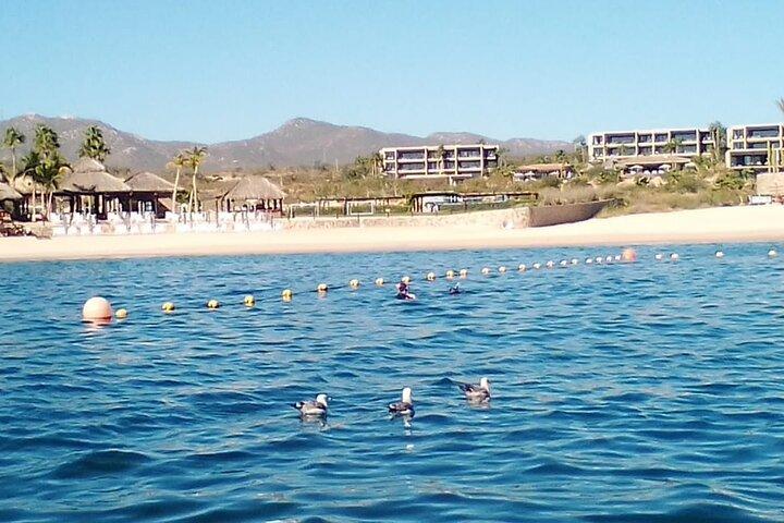 Aventura em Santa Maria e Chileno Bay Snorkel Los Cabos
