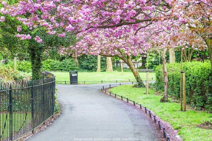 Das Beste von Dublin, einschließlich Trinity College: Private Tour