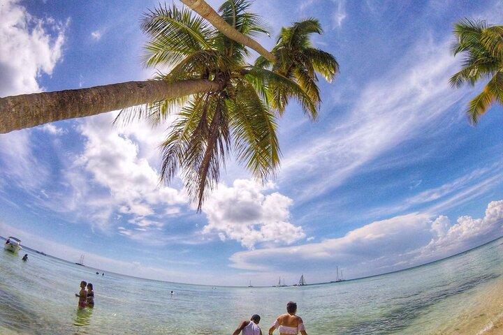 Full-Day Cruise of Isla Saona from Santo Domingo with Lunch
