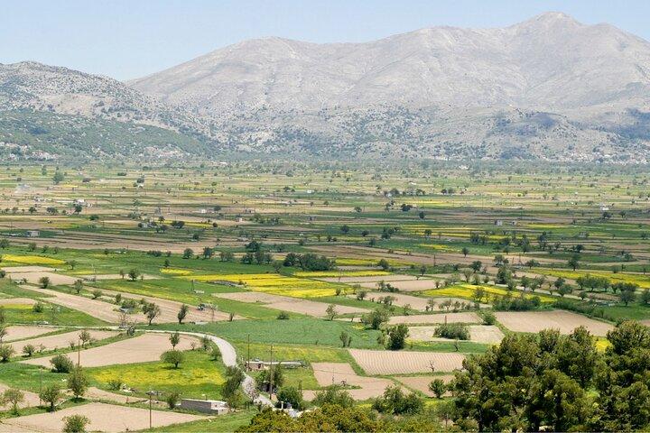 Road-trip à Lasithi, Zeus Cave, Vidiani, Krasi & Olive Mill Farm