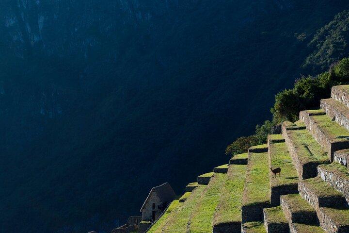 Machu Picchu en Cusco: 3 dagen / 2 nachten all-inclusive ervaring