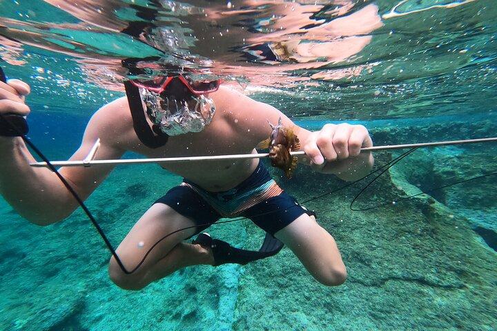 Spearfishing i Chania, Kreta (prisen er pr. Gruppe)