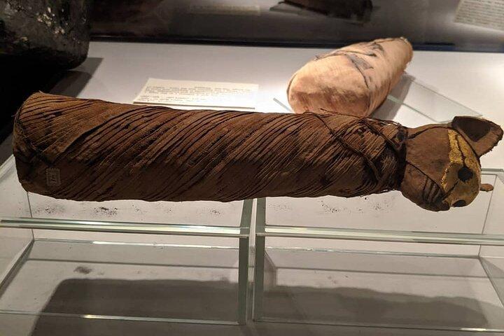 Excursão de meio dia Visite os museus de Luxor e Mumificação