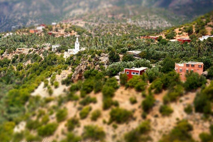 Agadir Taghazout Paradise Valley-reis