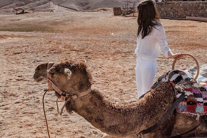 Private Desert Agafay Dinner show & Camel Ride