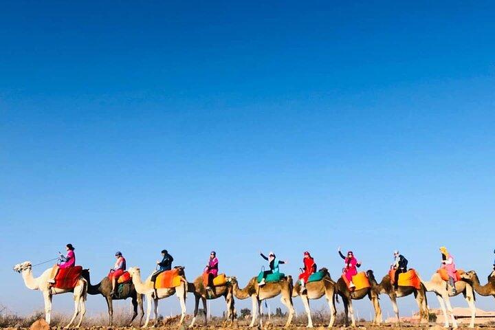 Three Valleys and Atlas Mountain & Waterfalls Tour from Marrakesh