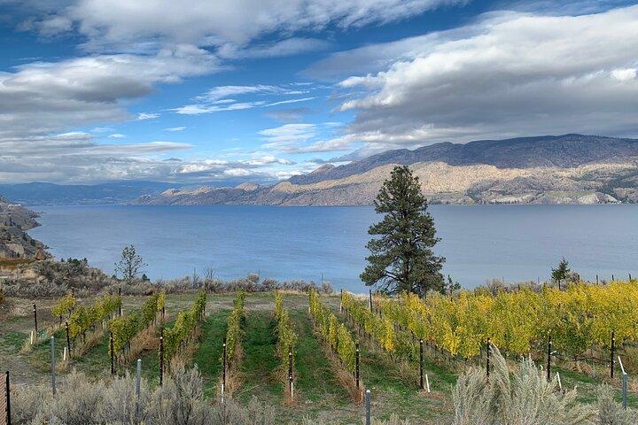 Summerland Half Day Wine Tour (inkl. provningsavgifter och guidegrats!)