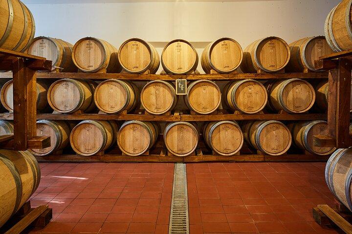 Private Bio-Weinprobe auf einem Weingut in Mugliano