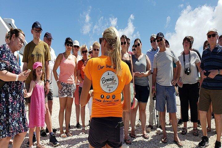 Bonaire Essentials Island Tour