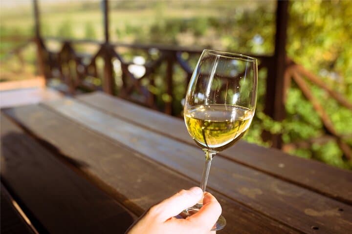 Cheetah encounter and Cape Wine lands Tour.