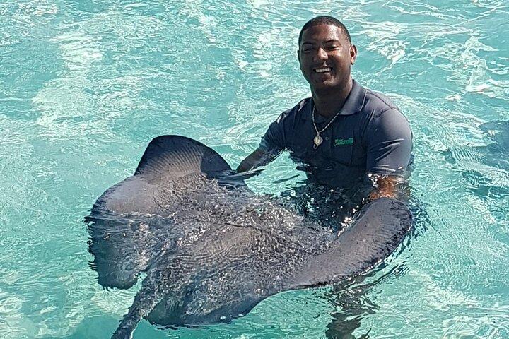 Half-Day Private Stingray City Charter in Cayman Islands