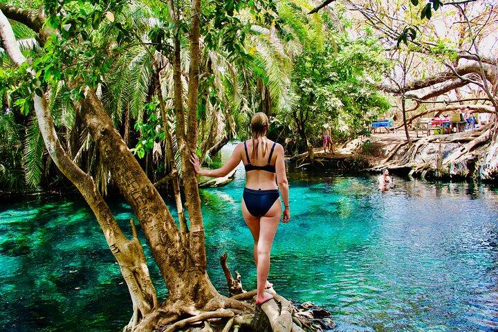 Privat dagstur til Kikuletwa Hot Springs i Kilimanjaro