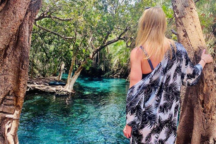 Privat dagstur til Kikuletwa Hot Springs i Kilimanjaro