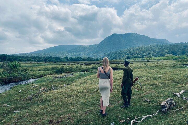 Privat dagstur til Arusha National Park med en vandresafari